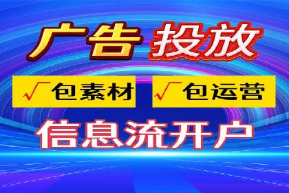 SEM推广优化策略：成功案例解析